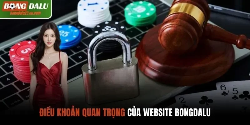 Điều khoản quan trọng của website Bongdalu