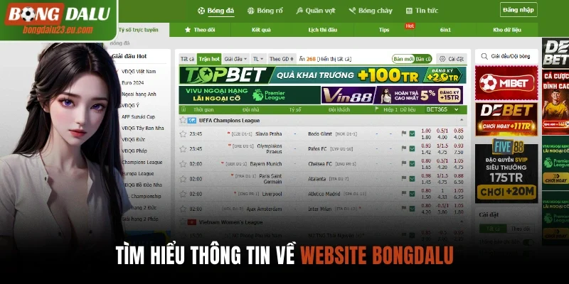 Tìm hiểu thông tin về website Bongdalu