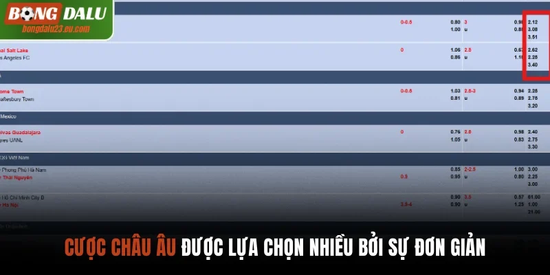 Cược châu Âu được lựa chọn nhiều bởi sự đơn giản