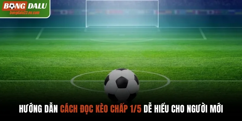 Hướng dẫn cách đọc kèo chấp 1/5 dễ hiểu cho người mới