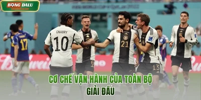 Cơ chế vận hành của toàn bộ giải đấu